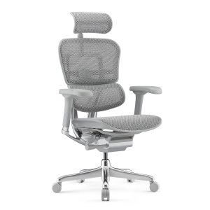 КРЕСЛО ERGOHUMAN ELITE-2 EHE2-AG-HAM-5D-L