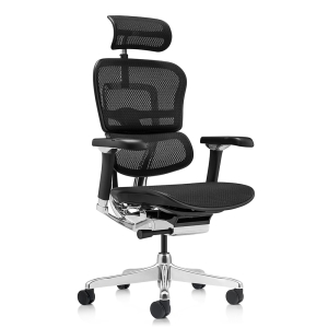 КРЕСЛО ERGOHUMAN LUXURY 2 EHL2-AB-HAM-5D-D