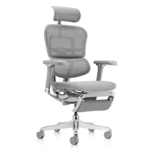 КРЕСЛО ERGOHUMAN LUXURY 2 EHL2-AG-HAM-5D-D+LM