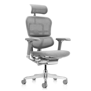 КРЕСЛО ERGOHUMAN LUXURY 2 EHL2-AG-HAM-5D-D