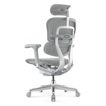 КРЕСЛО ERGOHUMAN ELITE-2 EHE2-AG-HAM-5D-L