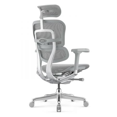 КРЕСЛО ERGOHUMAN ELITE-2 EHE2-AG-HAM-5D-L