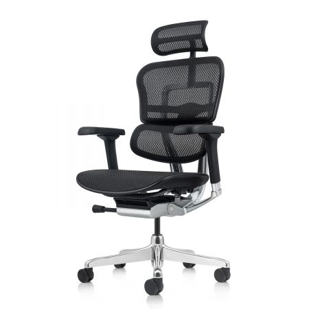 КРЕСЛО ERGOHUMAN ELITE 2 AB-HBM-F-5D-L