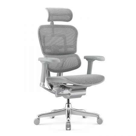 КРЕСЛО ERGOHUMAN ELITE-2 EHE2-AG-HAM-5D-L
